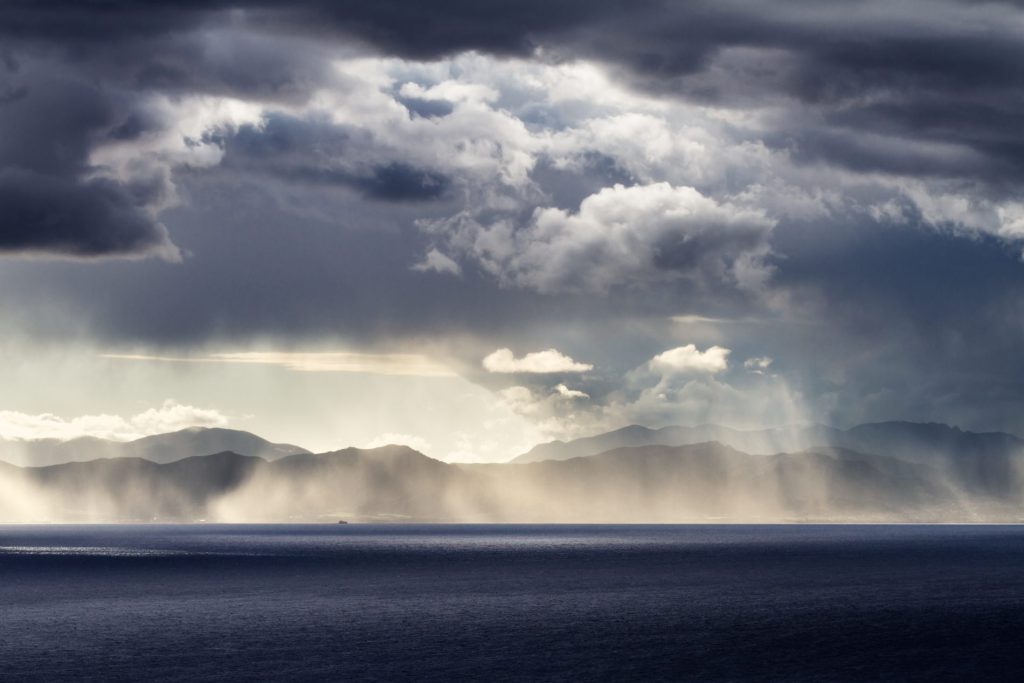 mare