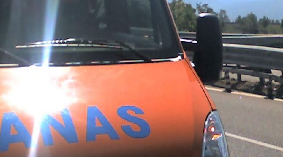 anas