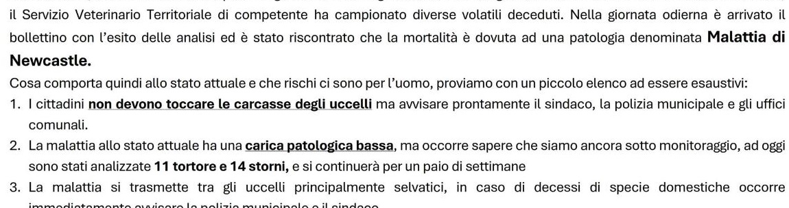 tortore e storni