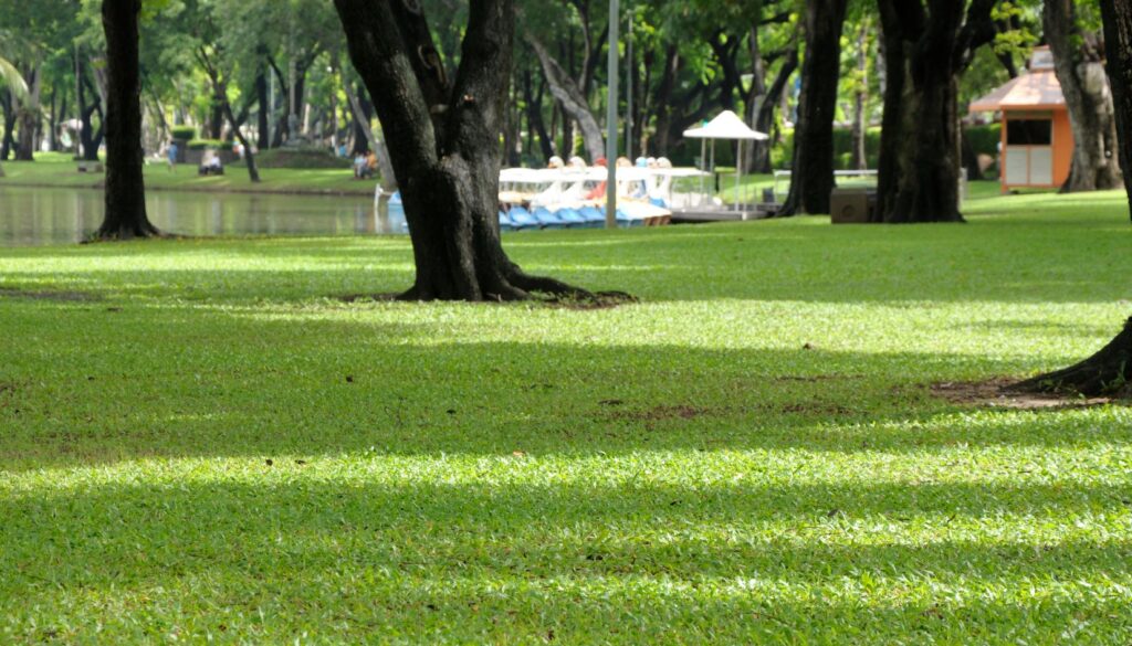 parco
