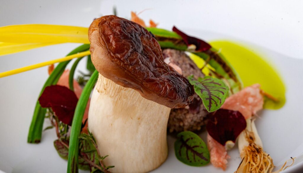 piatti gourmet funghi