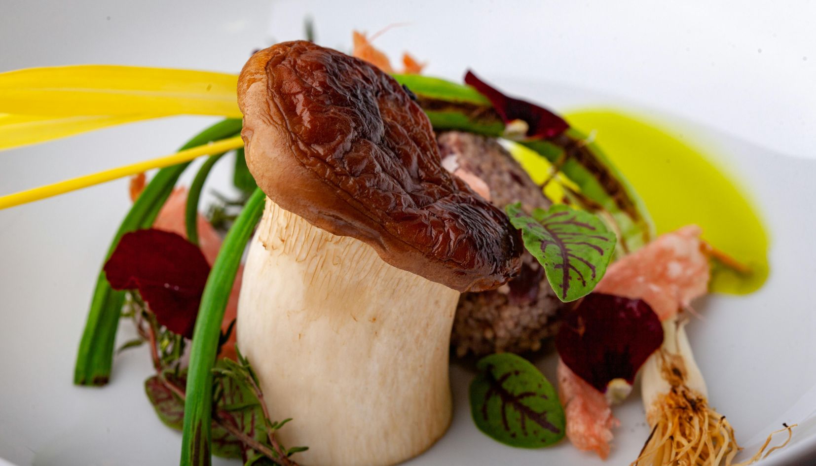 piatti gourmet funghi